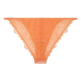 Wild Rose Coral Briefs | الملابس الداخلية الدانتيل