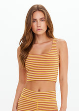 Vibrant Jacquard Stripe Naxos Elyse Crop Top with Removable Cups