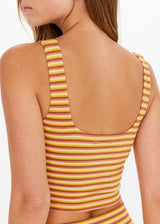 Vibrant Jacquard Stripe Naxos Elyse Crop Top with Removable Cups