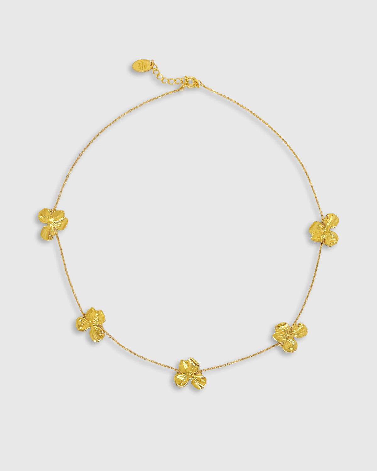Necklace Gonia | قلادة