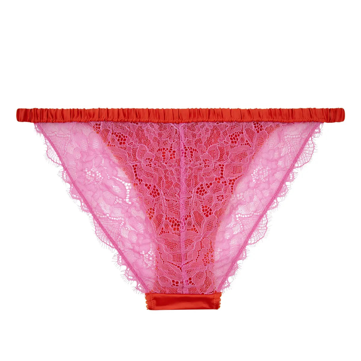 Wild Rose Red | سراويل حمراء