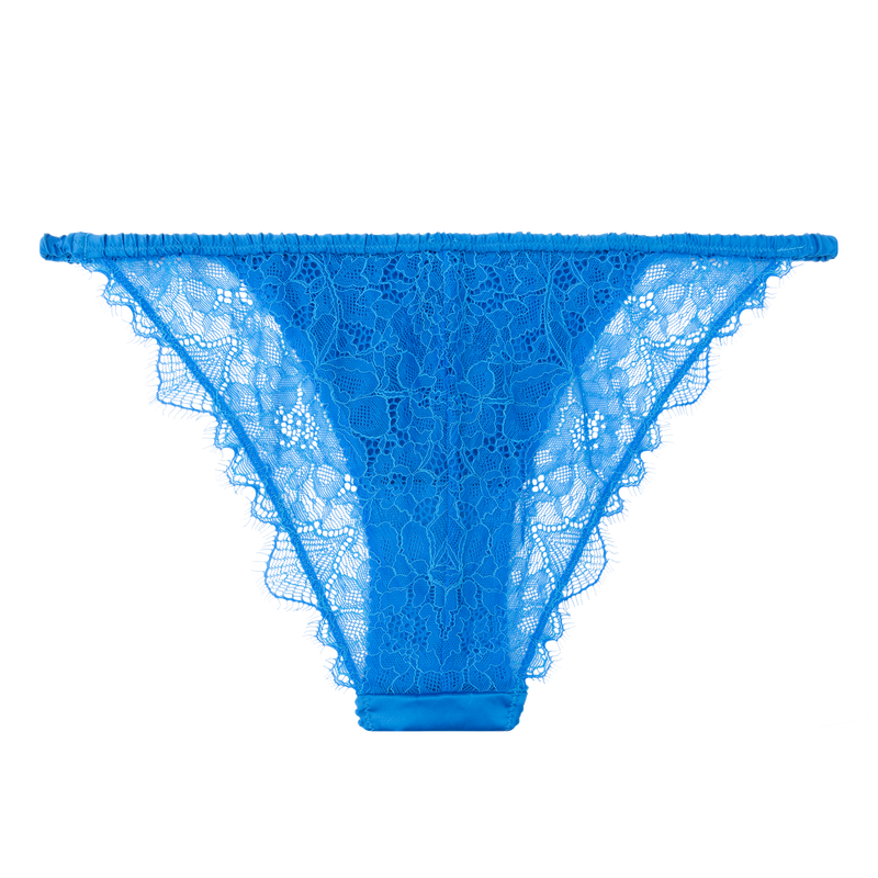 Wild Rose Lace Briefs