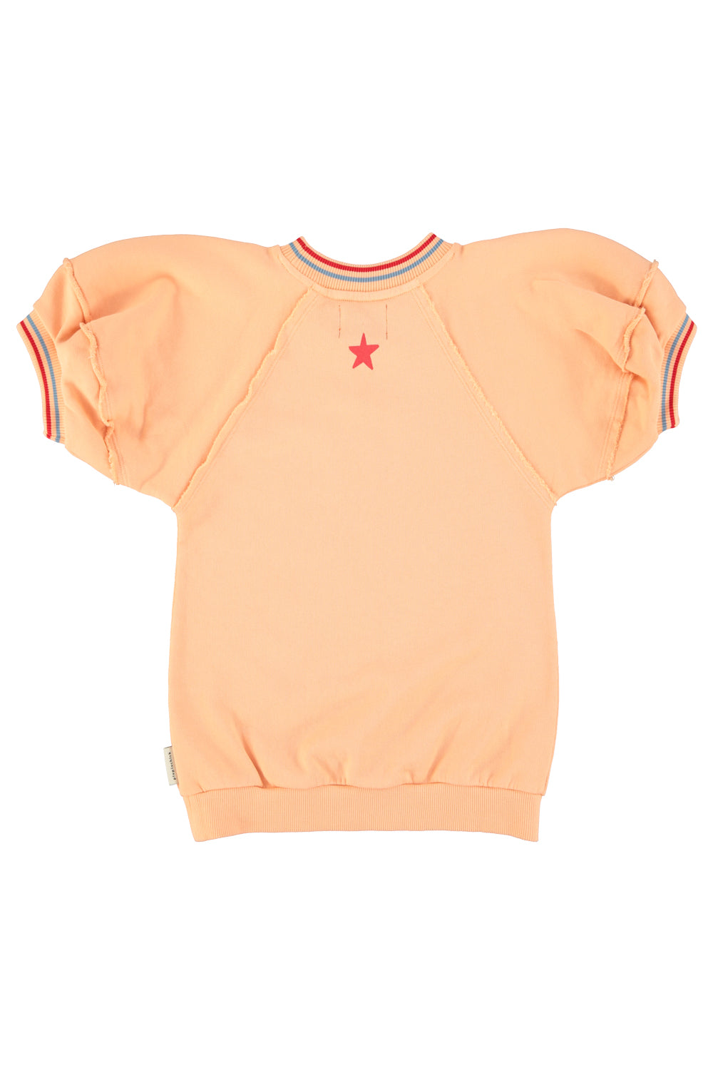 https://cdn.shopify.com/s/files/1/0279/9075/3355/files/sweatshirtdress_peach_piupiuchick_print_piupiuchick.jpg?v=1764851236