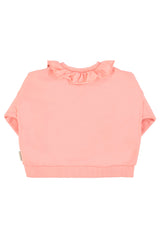 https://cdn.shopify.com/s/files/1/0279/9075/3355/files/sweatshirtw_collar_lightpinkw_strawberryprint_piupiuchick.jpg?v=1764850964
