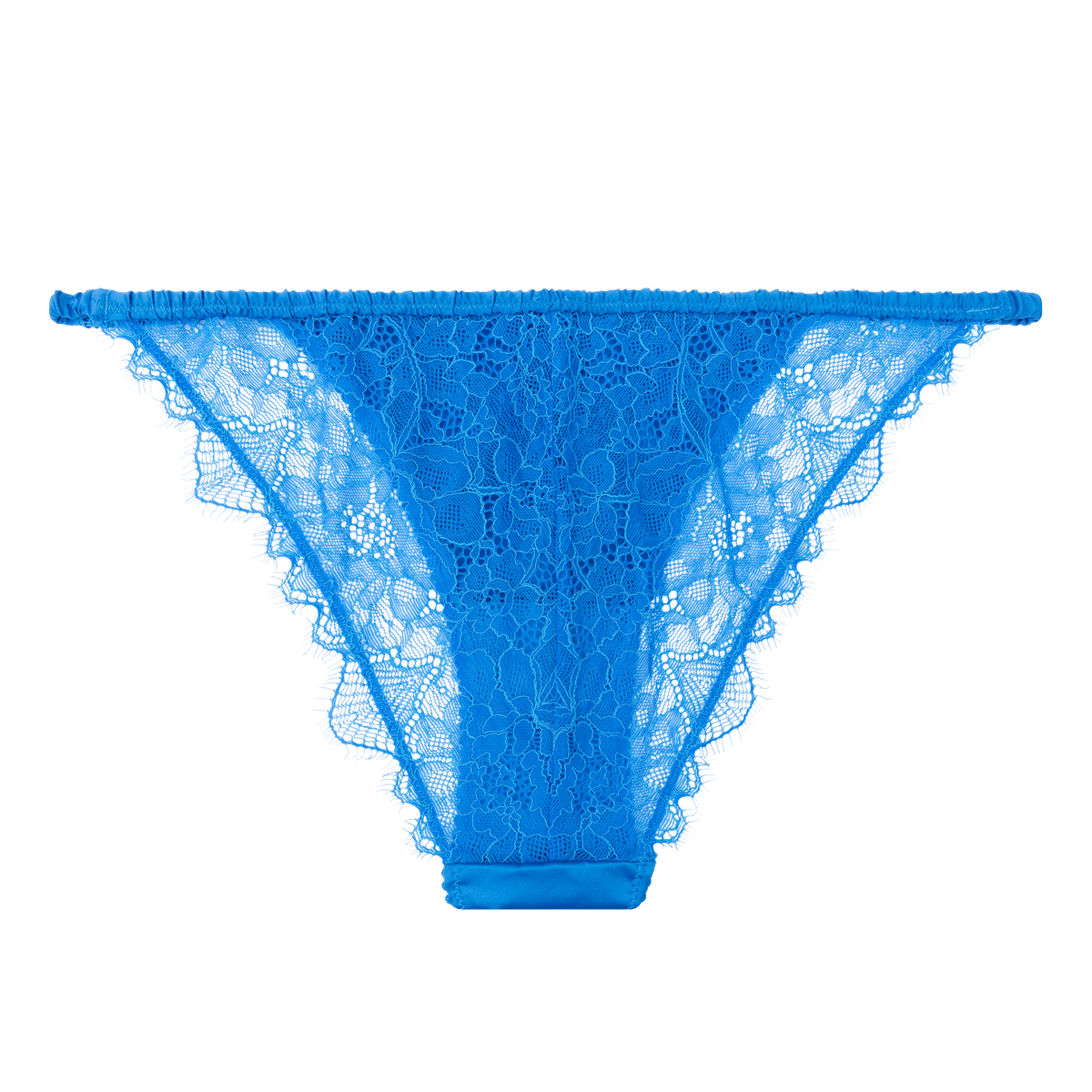 Wild Rose Blue Briefs | الملابس الداخلية الدانتيل - Maison Clad
