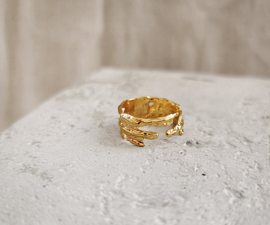 Ring Kota