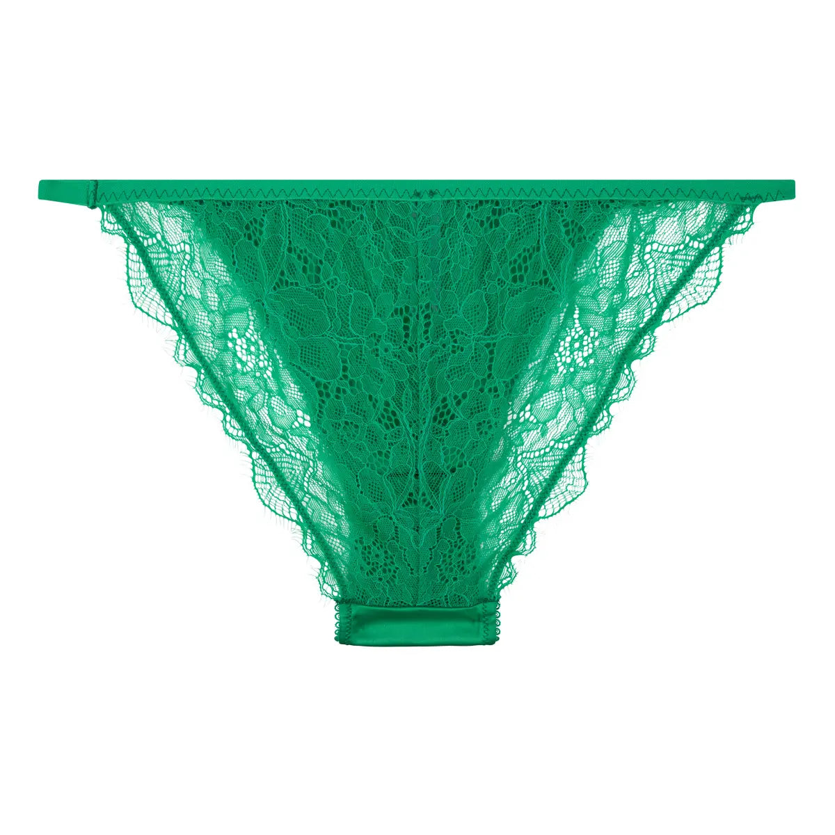 Wild Rose Green Briefs | الملابس الداخلية الدانتيل